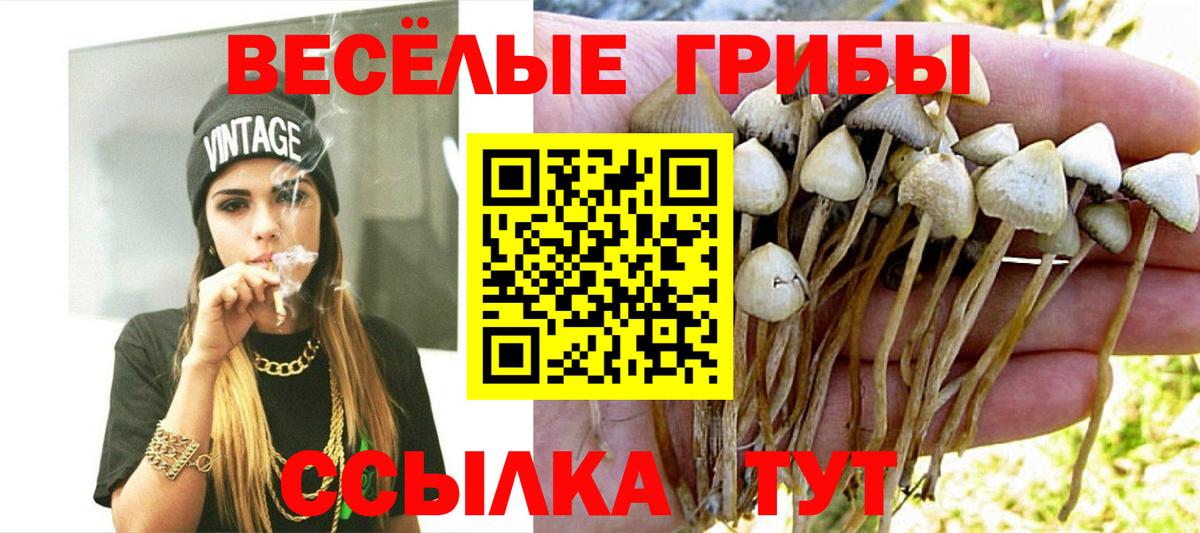 Псилоцибиновые грибы мухоморы Рузаевка